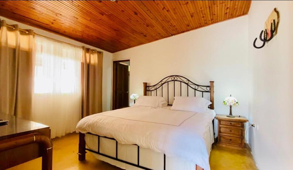 Finca Hotel El Laurel - Parque Del Cafe モンテネグロ エクステリア 写真
