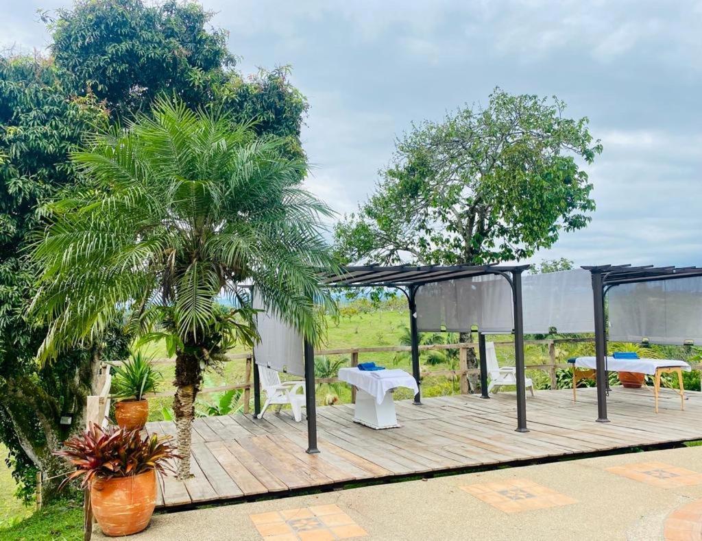 Finca Hotel El Laurel - Parque Del Cafe モンテネグロ エクステリア 写真