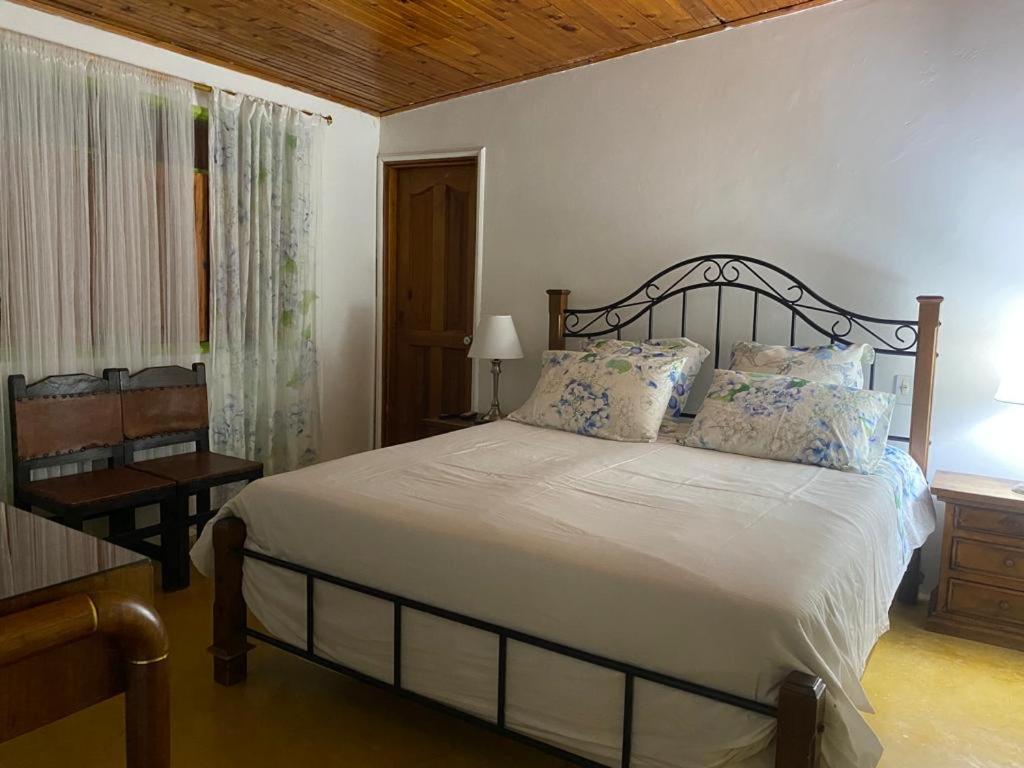 Finca Hotel El Laurel - Parque Del Cafe モンテネグロ エクステリア 写真