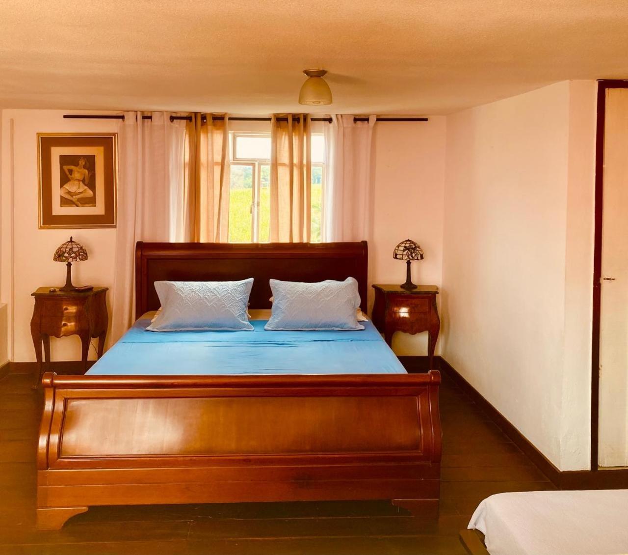 Finca Hotel El Laurel - Parque Del Cafe モンテネグロ エクステリア 写真